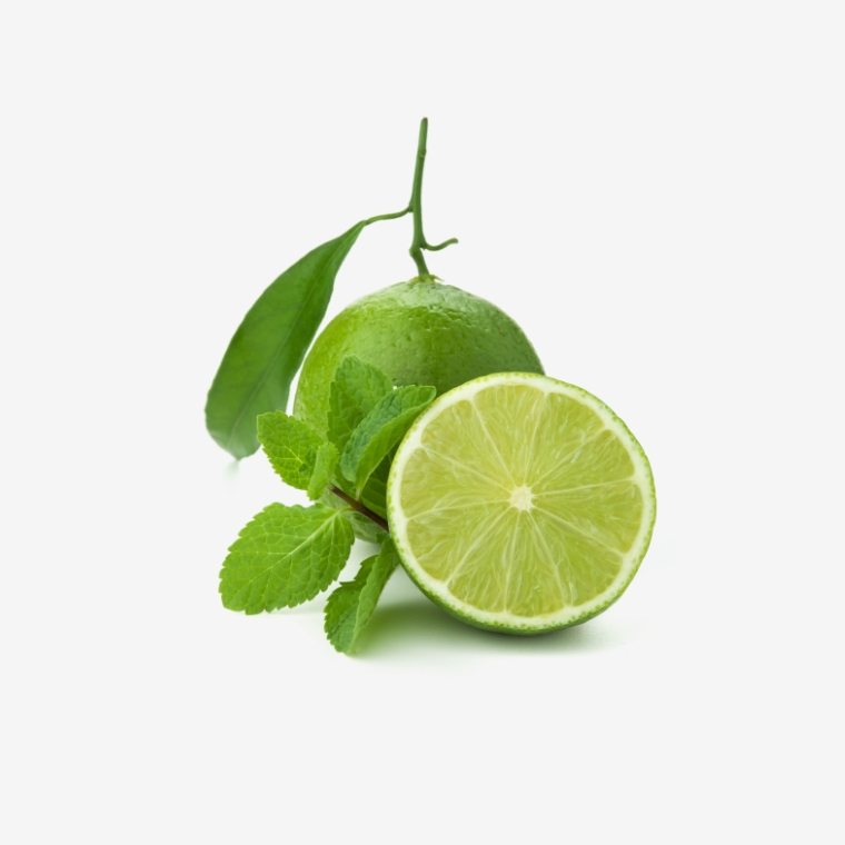 Cabbage Band Gobhi - Image 3